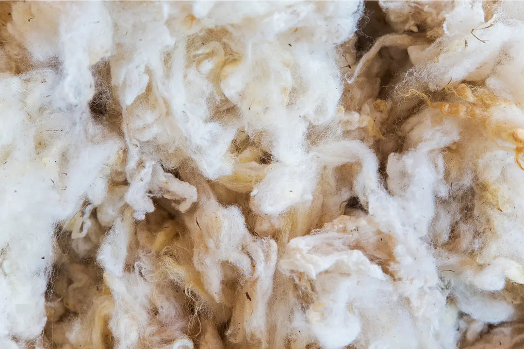Picture of Wool fabric